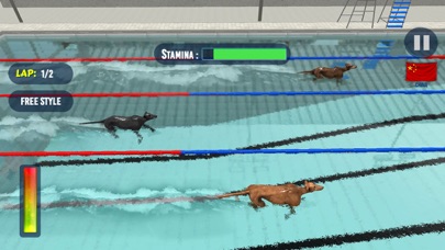 Dog Swimming Race screenshot 3