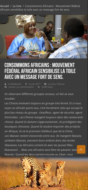 Couloir Afrique(圖3)-速報App