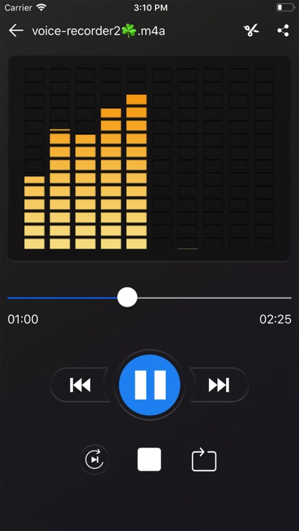 Voice recorder - Voz screenshot-3