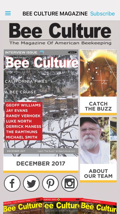 Bee Culture