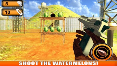 Fruit Shooter:Mercenary Relaxi screenshot 3