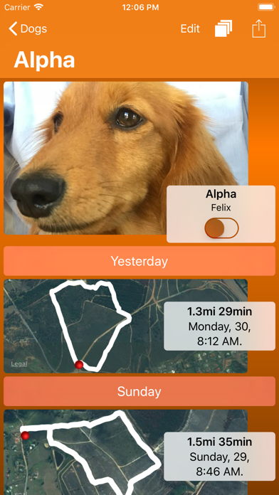 dogwalk trail screenshot 2