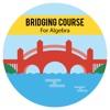 Bridge Course for Algebra