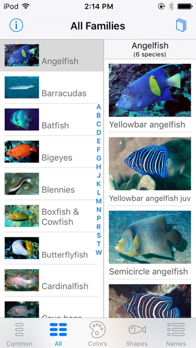 Oman Fish ID screenshot 1
