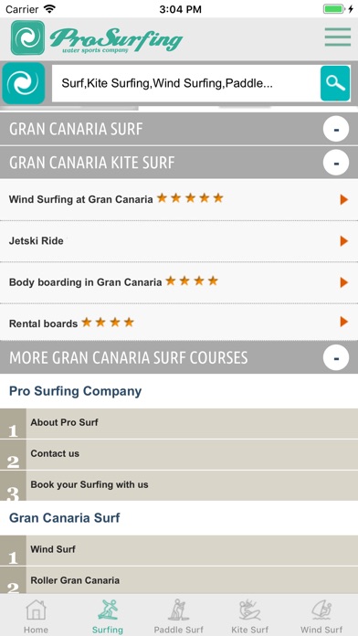 Pro Surfing Company screenshot 2