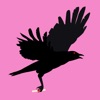 Love Ravens