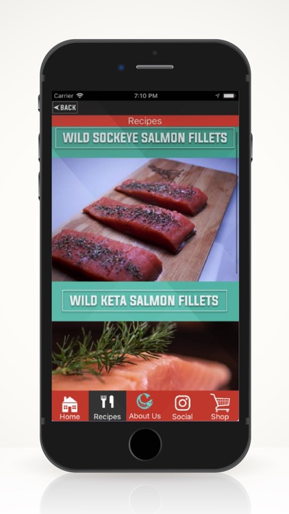 Wild Salmon Cookbook