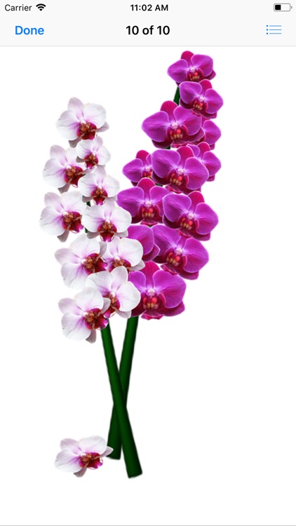 Orchid Stickers screenshot-9