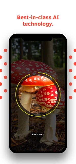 Mushroom Identification(圖4)-速報App