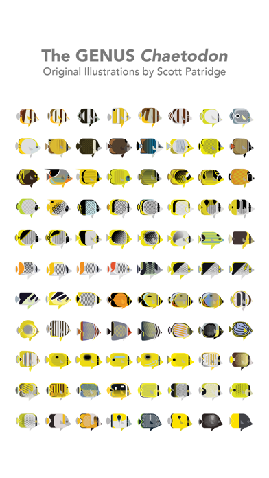 Butterfly Fish Stickersのおすすめ画像3