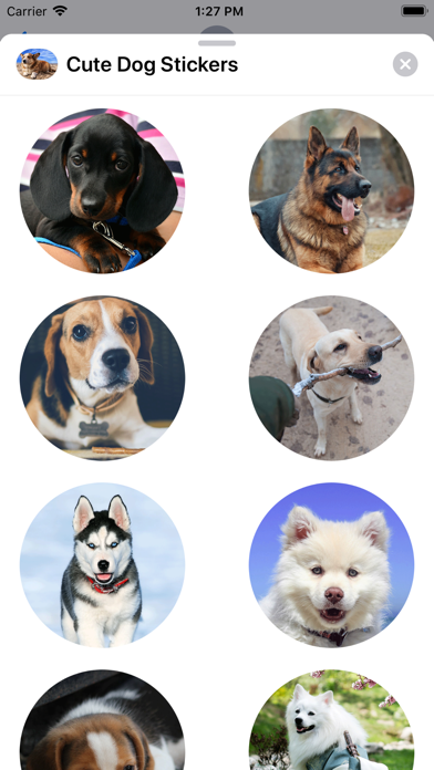 Cute Dog Sticker Set screenshot 4