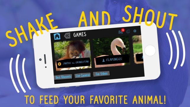 Virry game: Learn wild animals