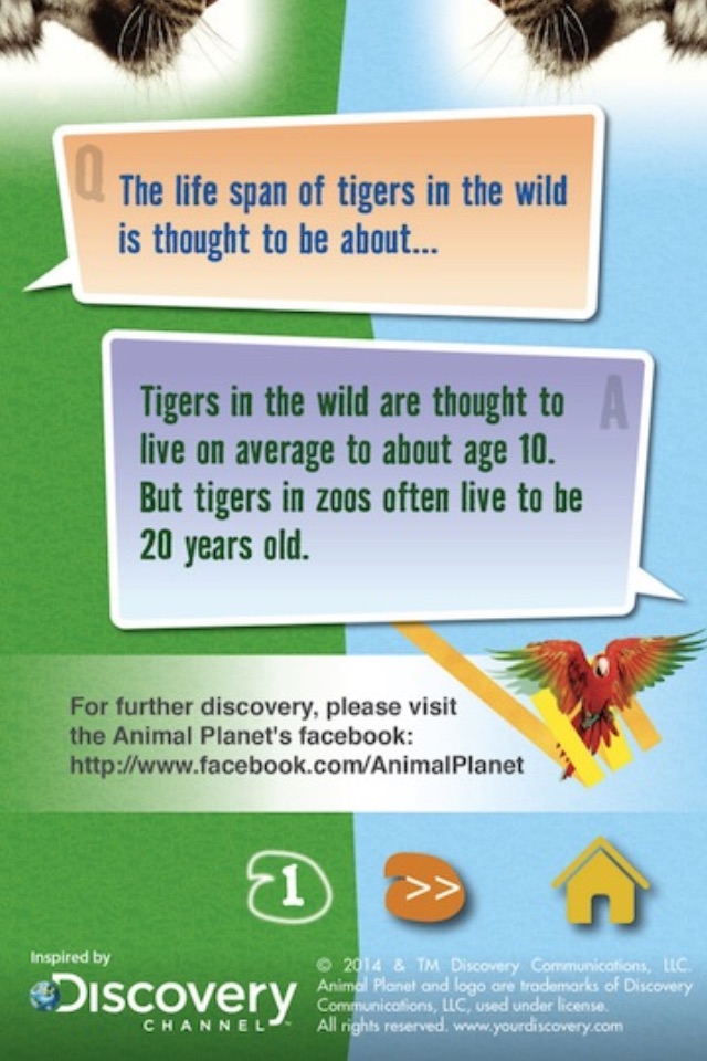 Safari Animal screenshot 4