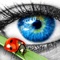 Move the ladybug with your eyes