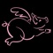The Flying Pig Events mobile app features tracking of participants, social media integration, interactive course maps and all the information you need to know about our races