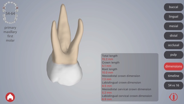 Dental Corpus Primary(圖2)-速報App