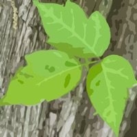 Itchy Plant sur PC