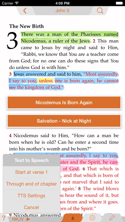 Ignite The Bible for Teens