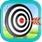 Bow and Arrow Archery Shooting Target Game