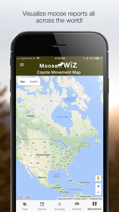 Moose Wiz: Hunting Predictions screenshot 3