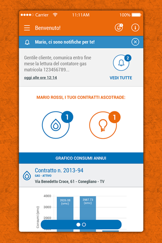 Ascotrade App gas e luce screenshot 3