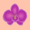 Orchid Stickers