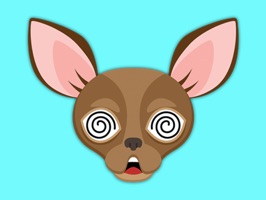 Animated Chocolate Chihuahua