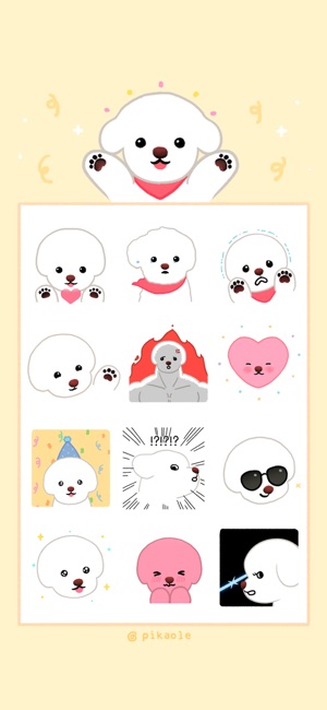 Yallet the bichon frise(圖3)-速報App