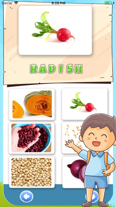 Vegetable Vocabulary English 1.0 IOS -