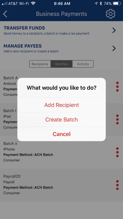 County Bank BIZ screenshot-5
