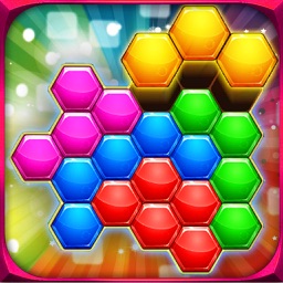 Hexagon Block Logic Puzzle
