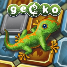 Activities of Gecko the Game