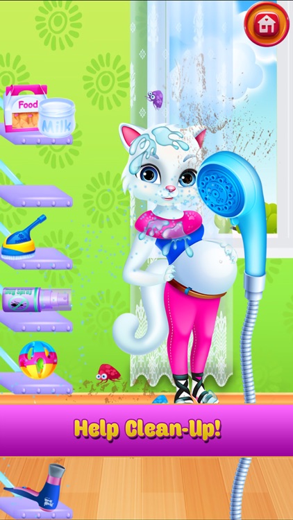 New Baby Kitten Cat Care