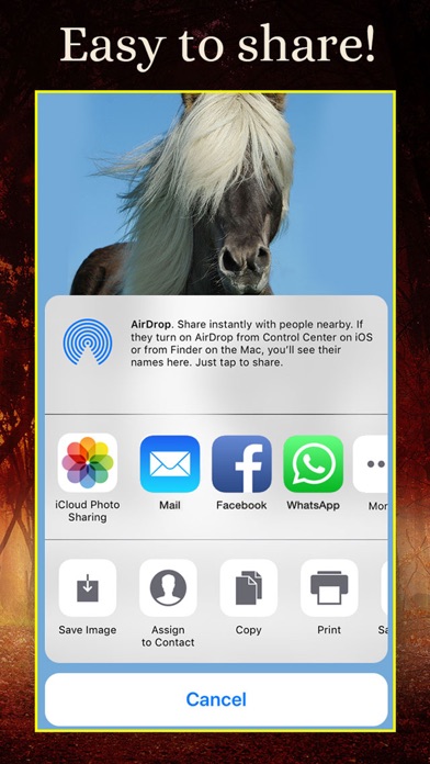 Horses - Wallpapers + Add Text screenshot 3
