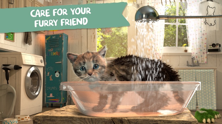 Little Kitten Adventures