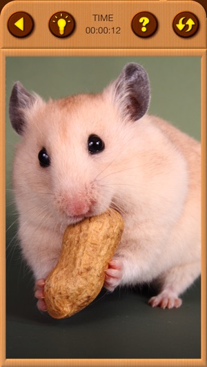 Hamster Jigsaw Puzzle Games(圖5)-速報App