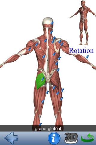 Visual Anatomy Lite screenshot 2