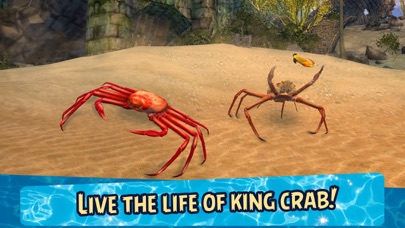 Sea Crab Survival Simulator 3D screenshot 1