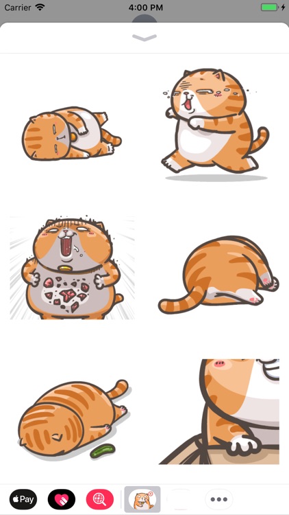 Chubby Cat Stickers Animated