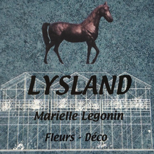 Lysland Fleurs Icon