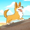 Corgi Dog Run Simulator