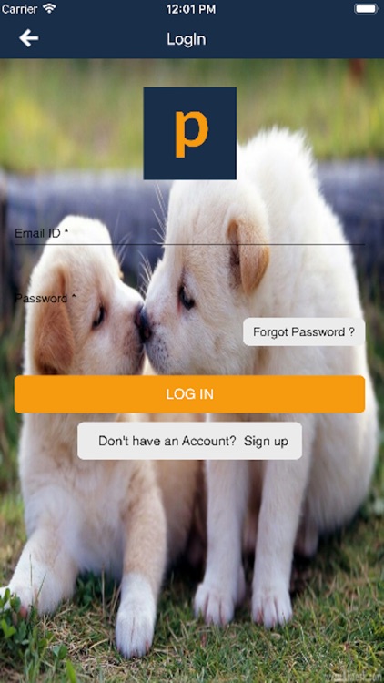 petchows screenshot-4