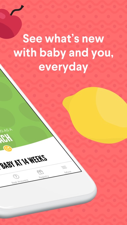 The Bump - Pregnancy Countdown