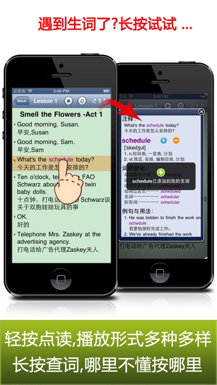 USA family life English 3