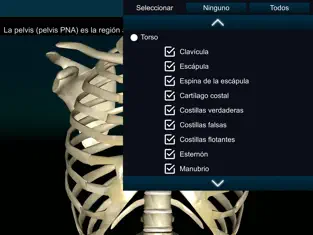 Captura 5 Huesos Humanos 3D (anatomía) iphone