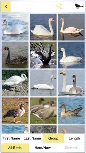 Birds of Britain Pocket Guide(圖2)-速報App