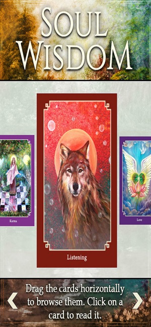 Soul Wisdom Oracle Cards(圖4)-速報App