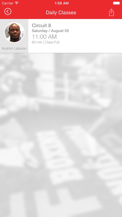 DEF Boxing screenshot-4