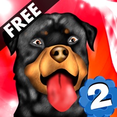 Activities of Dog Agility 2 : The dressage race contest - Free