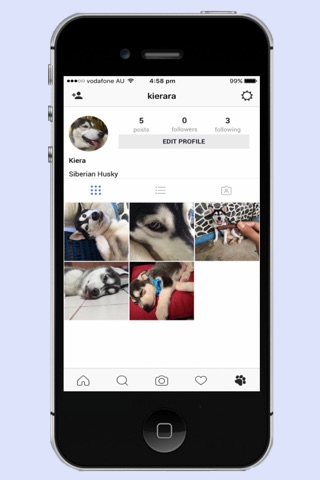 Dogstory-Post,Share and Follow the Dogs around screenshot 3